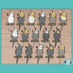 Custom Cockatiel Pair Stickers