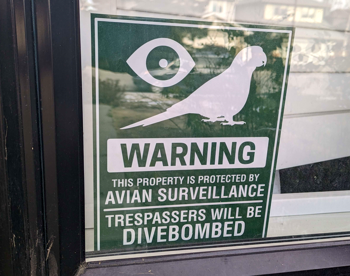 Avian Surveillance Posterboard Sign