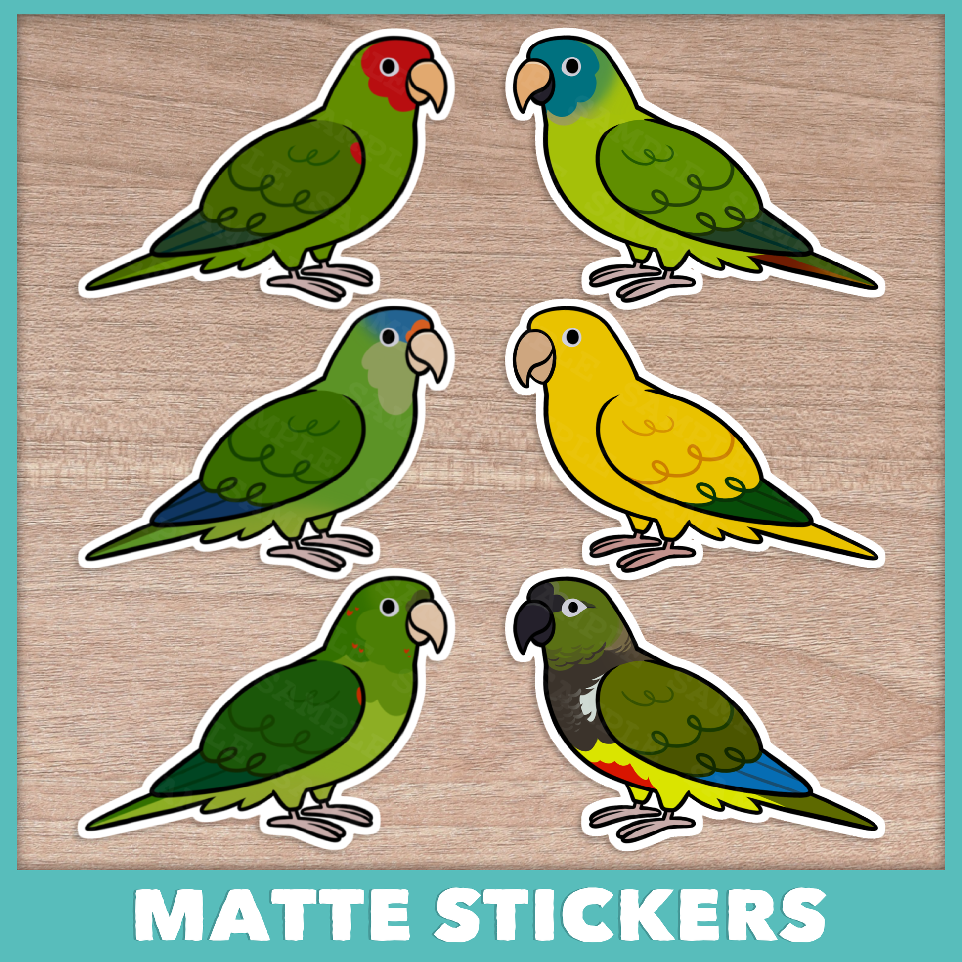 Conure (Misc) Cuties Stickers